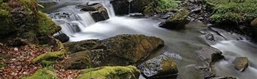 Parc naturel régional des Ardennes - Révision de la Charte - Enquête