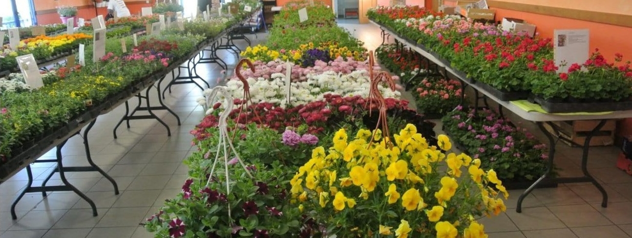 Marché aux fleurs organisé par le RACLS