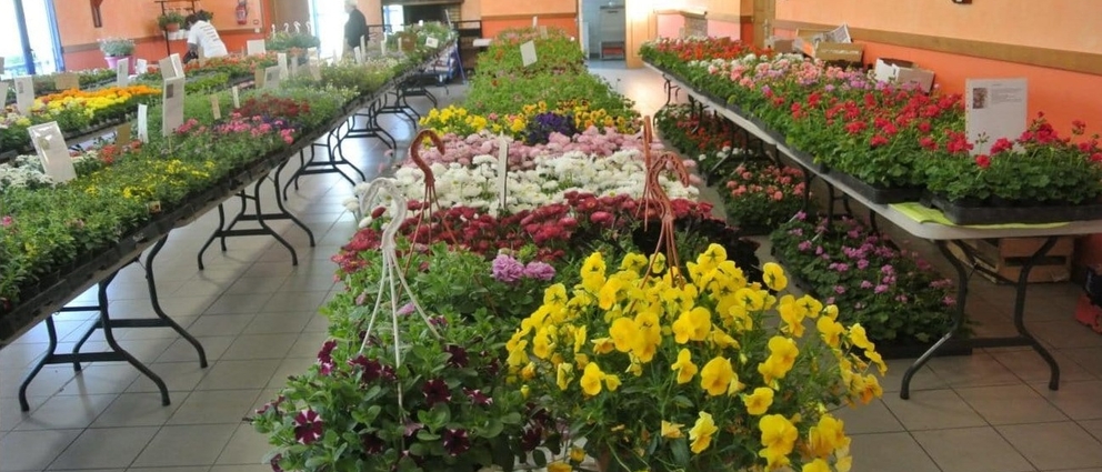 Marché aux fleurs organisé par le RACLS