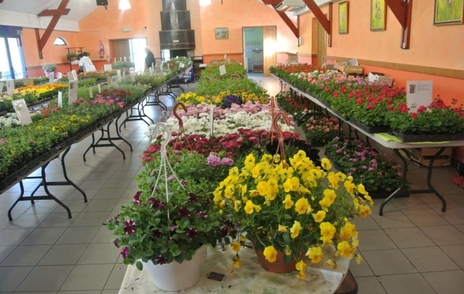 Marché aux fleurs organisé par le RACLS